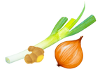 ねぎ
